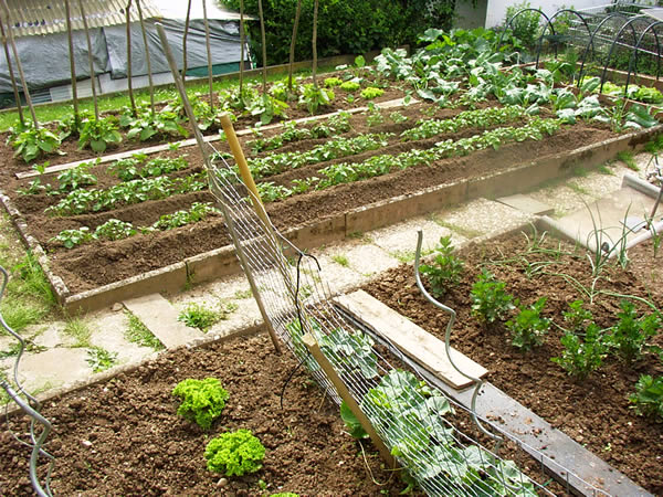 Blick auf die Gartenanlage Härenwies