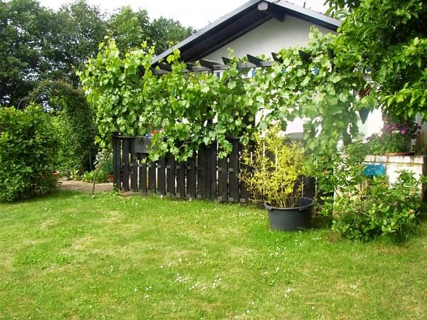 Die Gartenanlage Härenwies